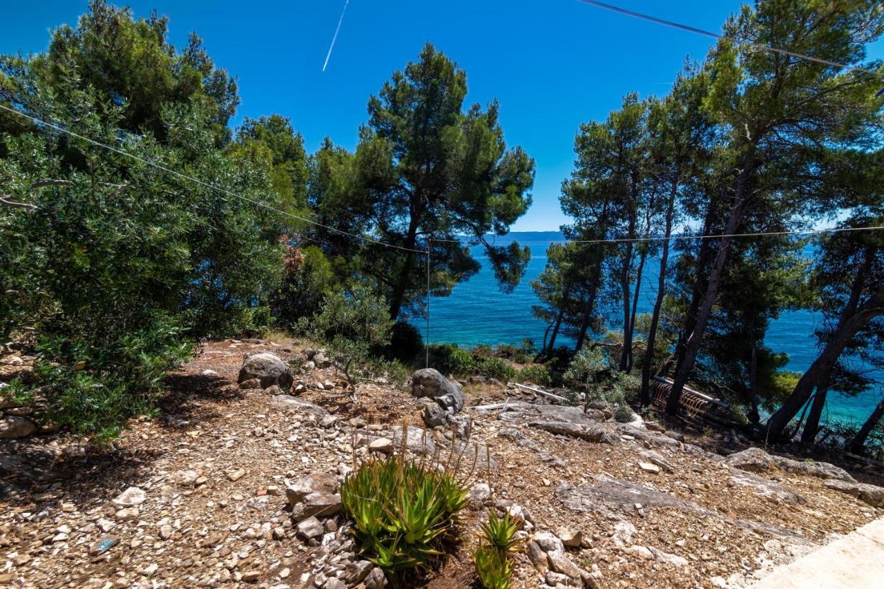 Seaside Secluded Apartments Cove Torac, Hvar - 575 Gdinj Экстерьер фото