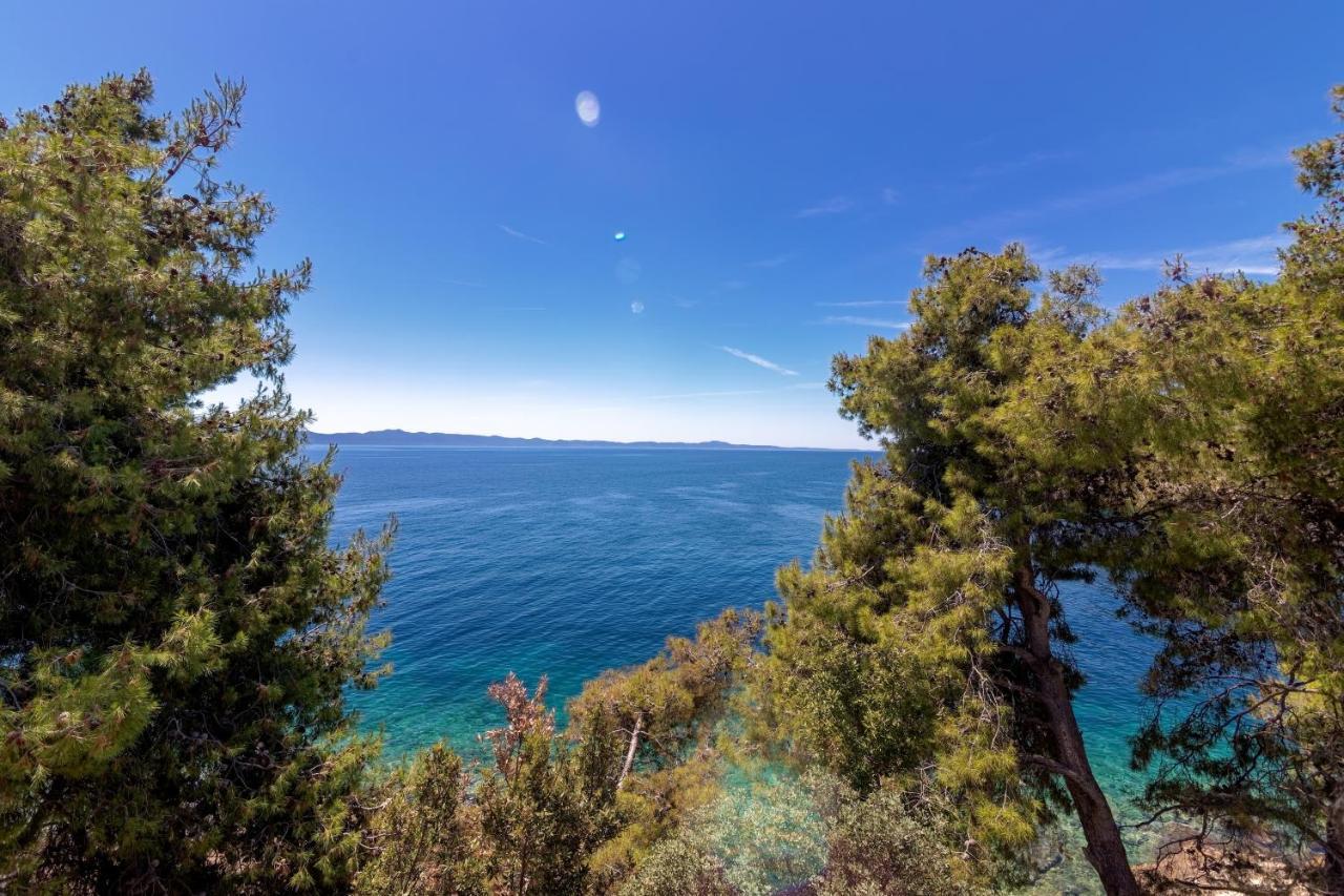Seaside Secluded Apartments Cove Torac, Hvar - 575 Gdinj Экстерьер фото